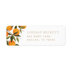 Een klein Cutie Oranje Baby shower Return Address  Etiket