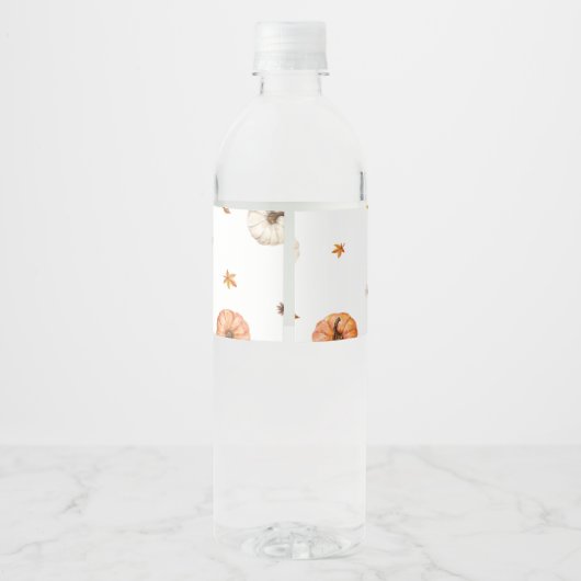 Een klein pompoenBaby shower Waterfles Etiket (Achterkant)