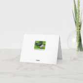 "Een klein vogeltje vertelde me..." pauwen Kaart (Achterkant)