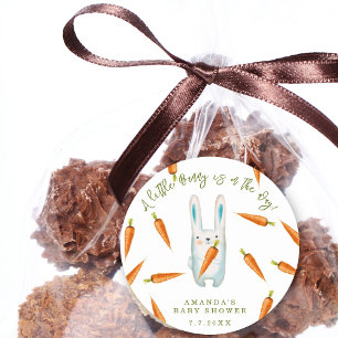 Een kleine Bunny is onderweg! Baby Shower Ronde Sticker