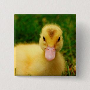 Een kleine druppelaar vierkante button 5,1 cm