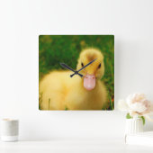 Een kleine druppelaar vierkante klok (Huis)