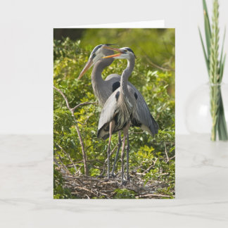 Een kleine Kaart van de Verjaardag van het