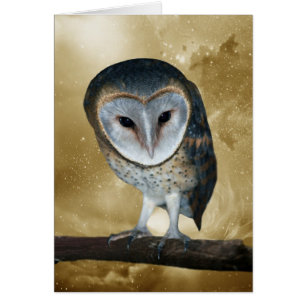 Een kleine kleine Barn Owl Fantasy