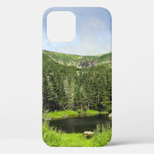 Een kleine vijver in de vallei van de bergen in de iPhone 12 hoesje