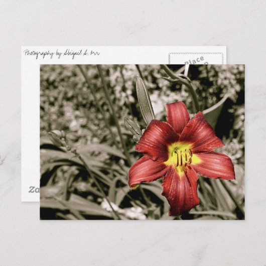 Een kleurenspiegel briefkaart (Voorkant / Achterkant)