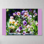 EEN KLEURENSPLASH POSTER (Voorkant)