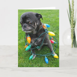 Een kluwen-vrije kerst feestdagen kaart