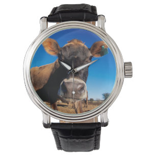 Een koe van Jersey die nieuwsgierig is Horloge