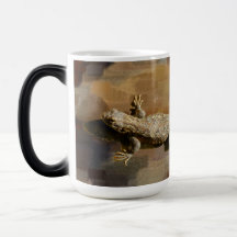 Een koffiehagedis
