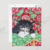 Een komforte kat! briefkaart (Voorkant / Achterkant)