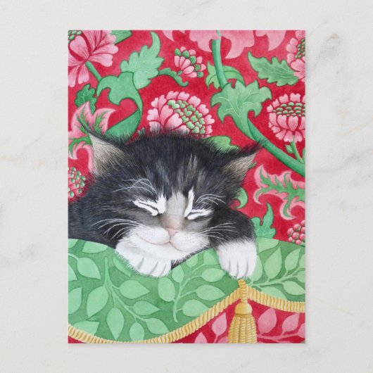 Een komforte kat! briefkaart (Voorkant)