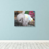 Een konijn in een dress canvas afdruk (Insitu (Houten vloer))