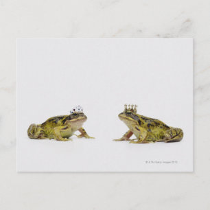 een koning en koningin kikker die naar elkaar kijk briefkaart