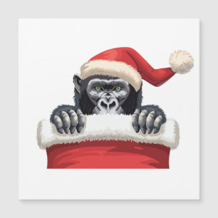 Een Kous Vol Gorilla Blijdschap