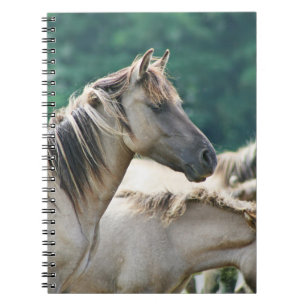 Een kudde Brumby Horses uit Australië Notitieboek