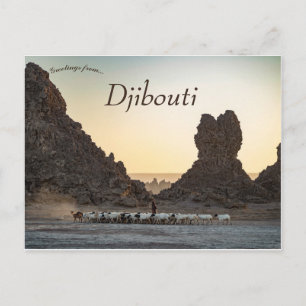Een kudde geiten in Lac Abbe Djibouti Briefkaart