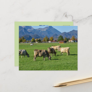 Een kudde koeien in Allgäu, Beieren, Duitsland Briefkaart
