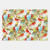 Een kudde veren inpakpapier vel (Voorkant 2)