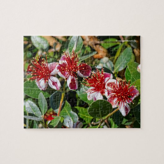 Een kwartet anananasguave / Guavasteen Flowers Legpuzzel (Horizontaal)