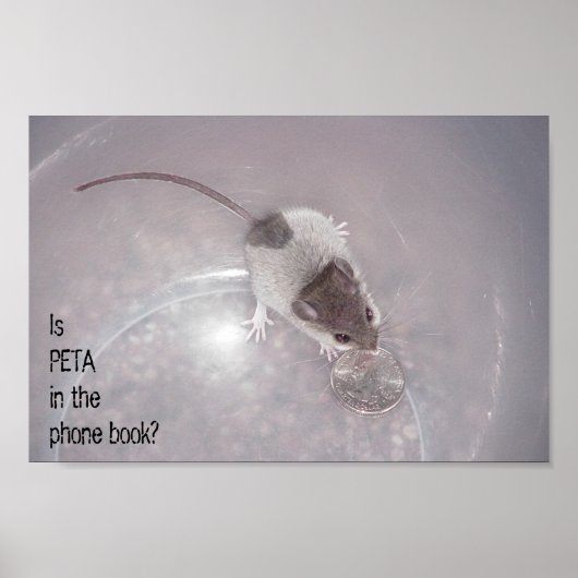 Eén laatste oproep poster (Voorkant)