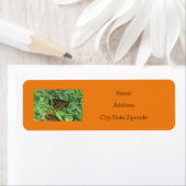 Een label met een standaard multiplex-butterfly-re (Insitu)