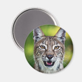 Een lachende Siberische lynx Magneet (Voorkant / Achterkant)