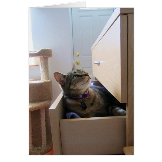 Een lade voor een INdigo-kaart (Voorkant)