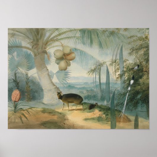 Een landschap in Ceylon door Samuel Daniell Poster (Voorkant)