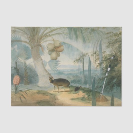 Een landschap in Ceylon door Samuel Daniell Tissuepapier (Voorkant)