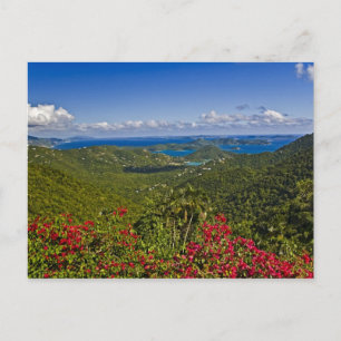 Een landschap van Cruse Bay, St. John Amerikaanse Briefkaart