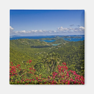 Een landschap van Cruse Bay, St. John Amerikaanse Magneet