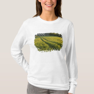Een landweg in Sabins Pasture in Montpelier, T-shirt