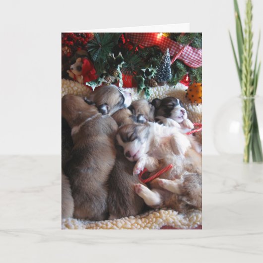 Een lange winter Nap Corgi Puppy Kerst Kaarten (Voorkant)