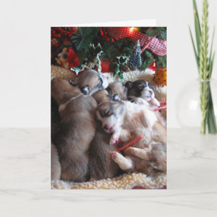 Een lange winterse Nap Corgi Puppy kerstkaarten Feestdagen Kaart