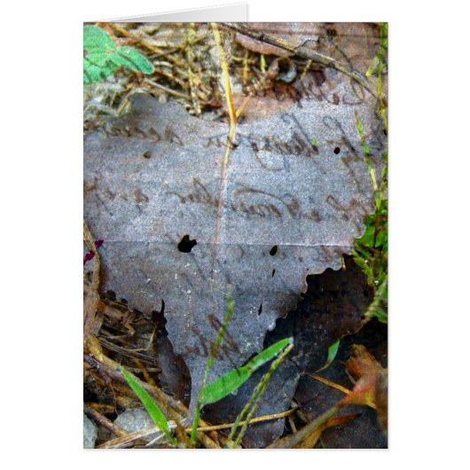 Een leder (Voorkant)