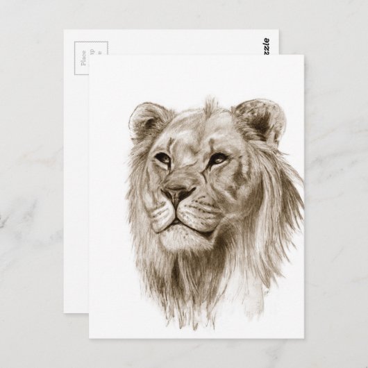 Een leeuw - zonder de kunst van de schetsenschets briefkaart (Voorkant / Achterkant)