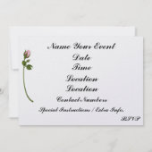 Een legante oever - SRF Kaart (Achterkant)