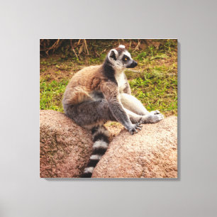 een lemur van madagascar op uitgerekte canvas afdruk