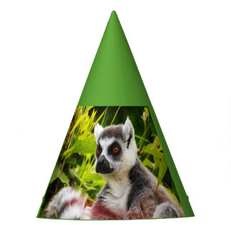 een lemur van Madagaskar met Partyhoed Feesthoedjes
