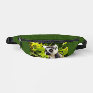 Een lemur van Madagaskar op heuptasje