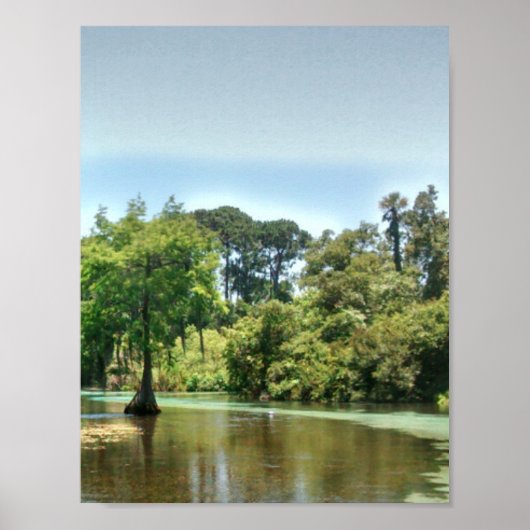 Een Lente rivier in Weeki Wachee Florida Poster (Voorkant)