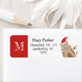 Een leuke cartoon voor kerstkerstsanta kat etiket (Insitu)