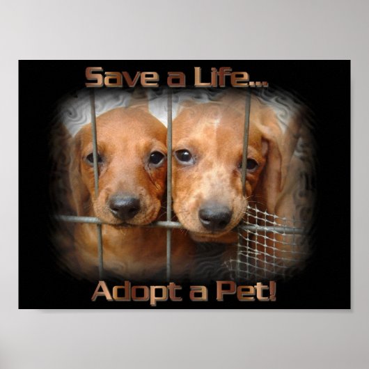 Een leven opslaan Een poster kiezen (Voorkant)