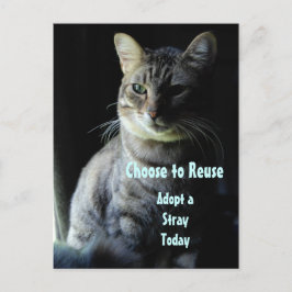 Een leven redden! Neem een Shelter Pet aan! Briefkaart