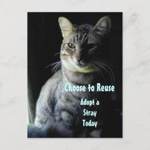 Een leven redden! Neem een Shelter Pet aan! Briefkaart