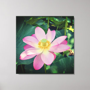 Een levendige lotusbloem canvas afdruk