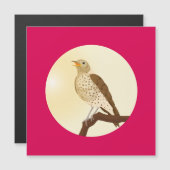 Een liedspruw zat op een tak (Voorkant / Achterkant)