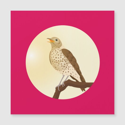 Een liedspruw zat op een tak (Voorkant)