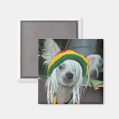 Een liefde Chinees Crested Rasta Hondenmagneet Magneet (Voorkant / Achterkant)